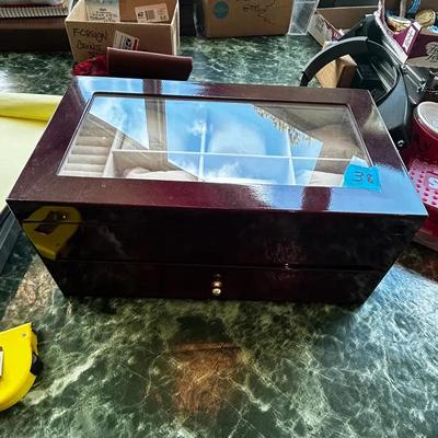 Large Watch Case 