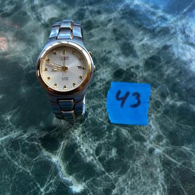 Citizen Watch #2