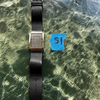 Skagen Denmark Watch 