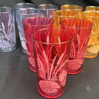 Set of 11 Vintage Etched Water Lily & Cattail Glass Tumblers – Multicolor