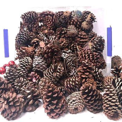 Pinecone Galore!