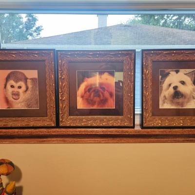 Sale Photo Thumbnail #132