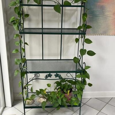 Metal Plant Stand