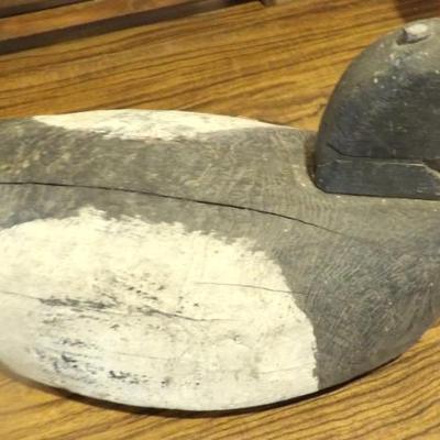 Sale Photo Thumbnail #352: Wood Duck 