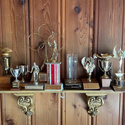 Collection of Trophies