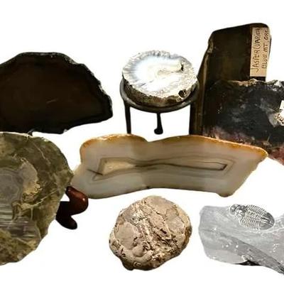 Rock Collectors Lot 1