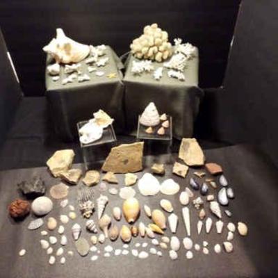 Sale Photo Thumbnail #77