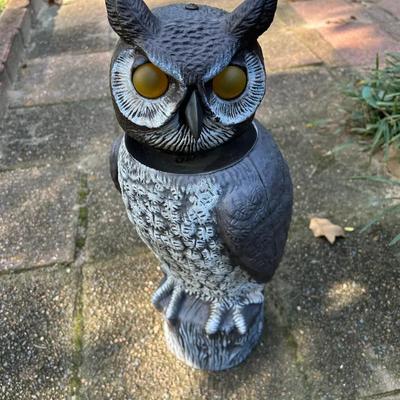 Plastic Owl With Weighted Base And Moving Head