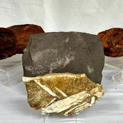 Concretions, Slate & Fossil Pieces! 