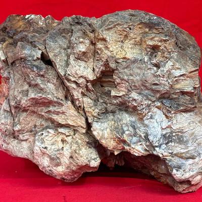 Petrified Wood Specimen: A Natural Marvel