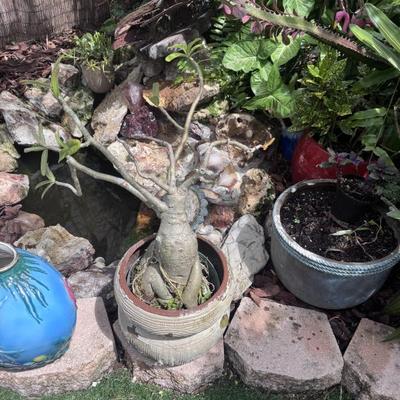 Sale Photo Thumbnail #60