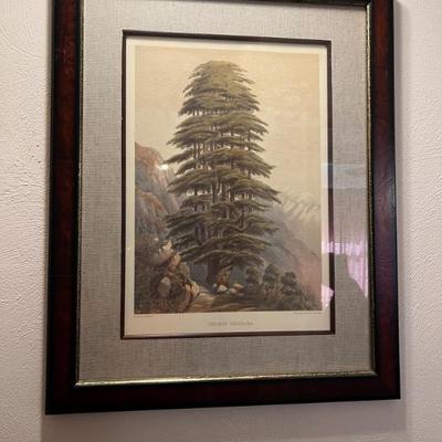 Sale Photo Thumbnail #125