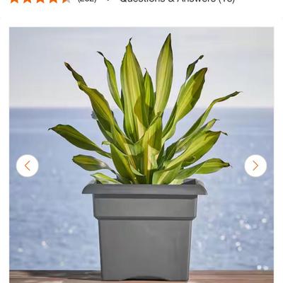 Sale Photo Thumbnail #618