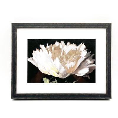 Sale Photo Thumbnail #56: "White Peony" Framed Art Print