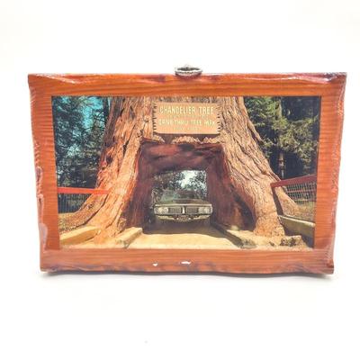 Sale Photo Thumbnail #57: Vintage Redwood Souvenir Plaque - Chandelier Drive-Thru Tree