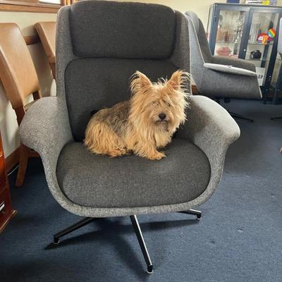 Sale Photo Thumbnail #37: Arm Chair 2nd pic