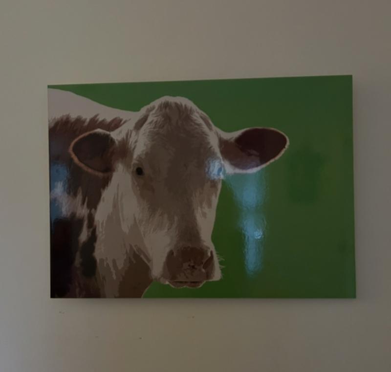 Sale Photo Thumbnail #12