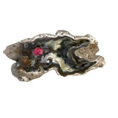 Sale Photo Thumbnail #31: AGATIZED FOSSIL CORAL GEODE