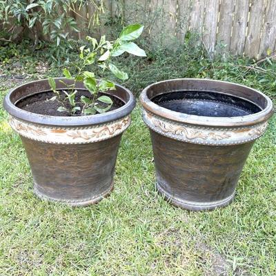 Set of 2 Large Composite Planters - One Has Citrus Tree 