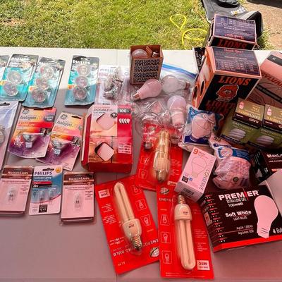 Assorted Light Bulb Lot