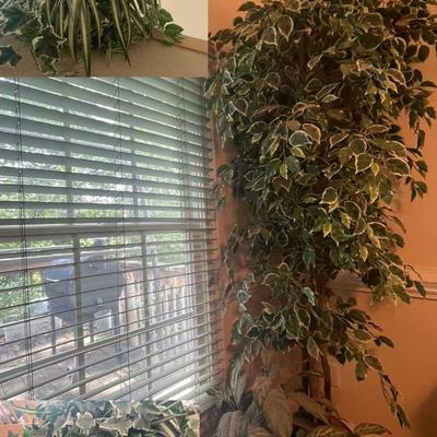 Various Greenery 