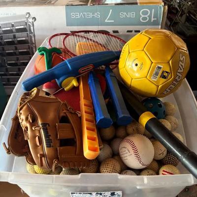 Tote of Sports Equipment – Golf Balls, Badminton, Baseball Glove, Soccer Ball & More