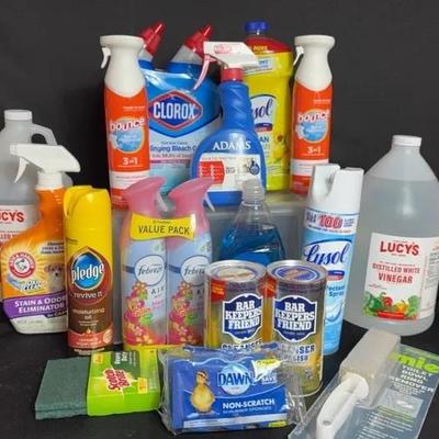 Household Cleaning Supplies 