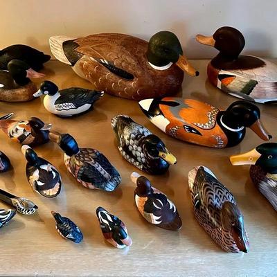 Decorative Duck Collection