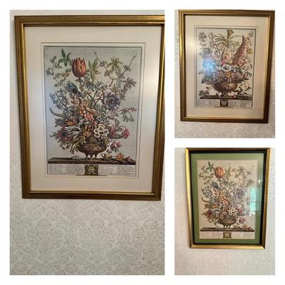 Robert Furbers 12 Months Of Flower Series Framed Prints 