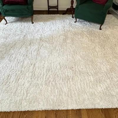 8x10ft  Off White Shag Area Rug