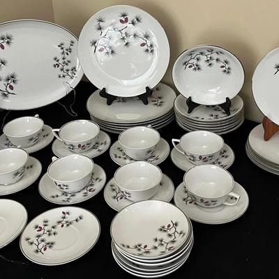 54 Pc Arcadian Fine China “Southern Pines” Set
