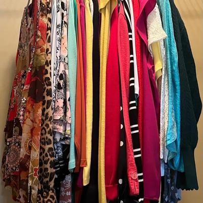 Women’s L-XL Dress Shirts Assortment