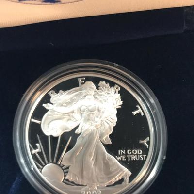 2002 W Silver Eagle Proof Coin