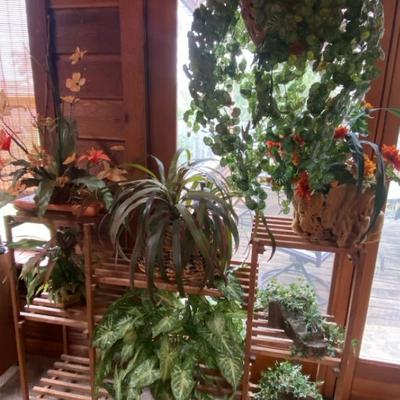 Wood Plant Stand & Greenery