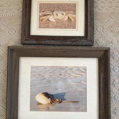 Sale Photo Thumbnail #224