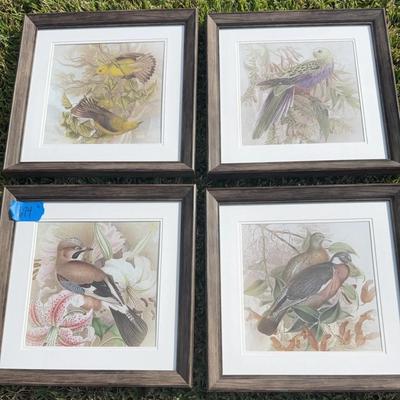 Set A Four Byrd Framed Prints 18 X 18 1/4
