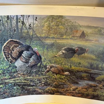 Crawford County Courtship (Turkey) By Scott Zoellick. A signed and numbered print.