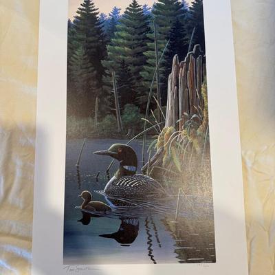Vilas County Legacy (Loons) Signed & Numbered Print By Tim Schultz  183/609  