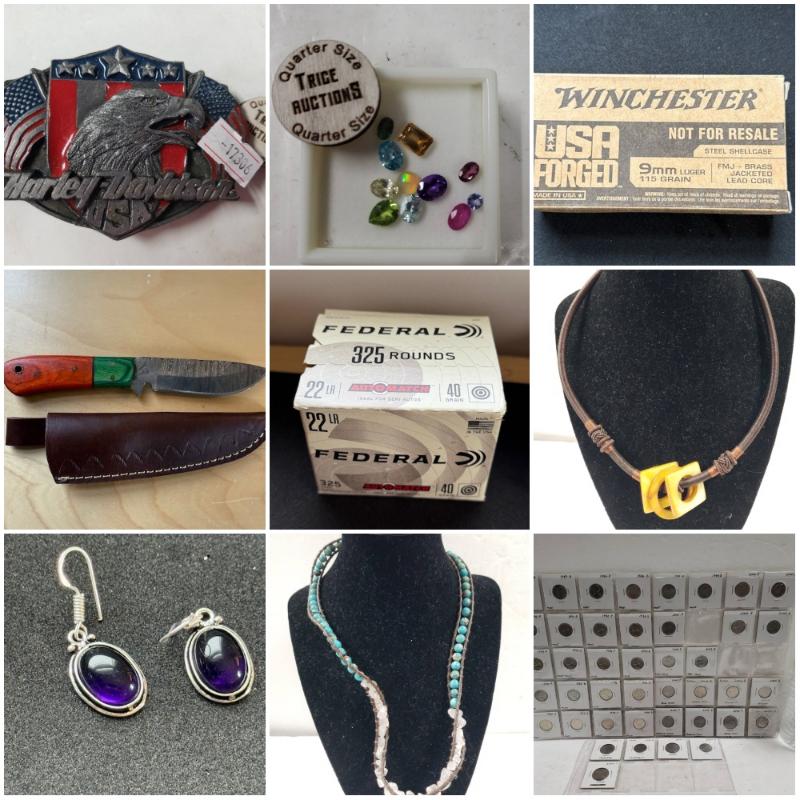 Sale Photo Thumbnail #9