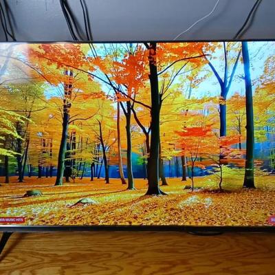 Visio Flat Screen TV 