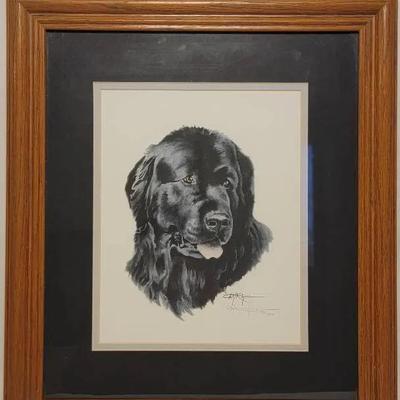 Signed David J. Rogers Newfoundland Print (73/1200)
