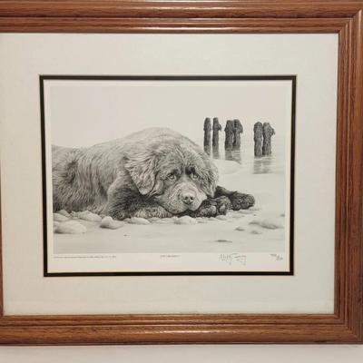 Signed Mike Sibley JUST DREAMING Print (799/850)