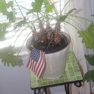 Sale Photo Thumbnail #63