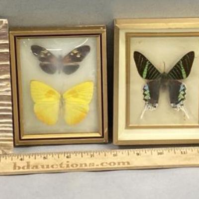 Sale Photo Thumbnail #173