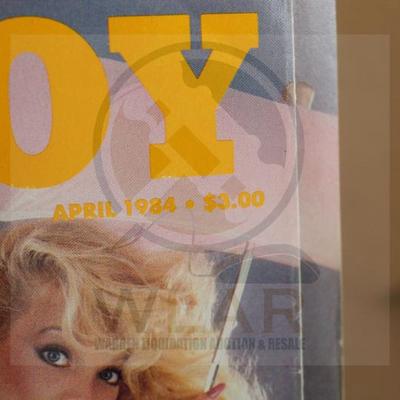 Sale Photo Thumbnail #183