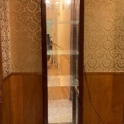 Single Curio Lighted No. 1