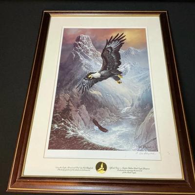 Vintage Franklin Mint “Save The Eagle” Print By Ted Blaylock