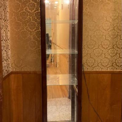 Single Curio Lighted No. 2