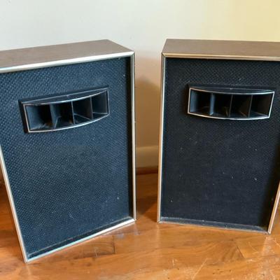 Vintage Electrophonic Air Suspension Speaker 