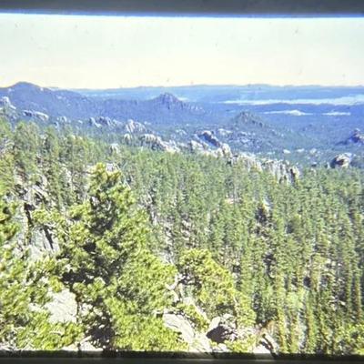 Original Slide of Forested Landscape - Black Hills, South Dakota, June 1950